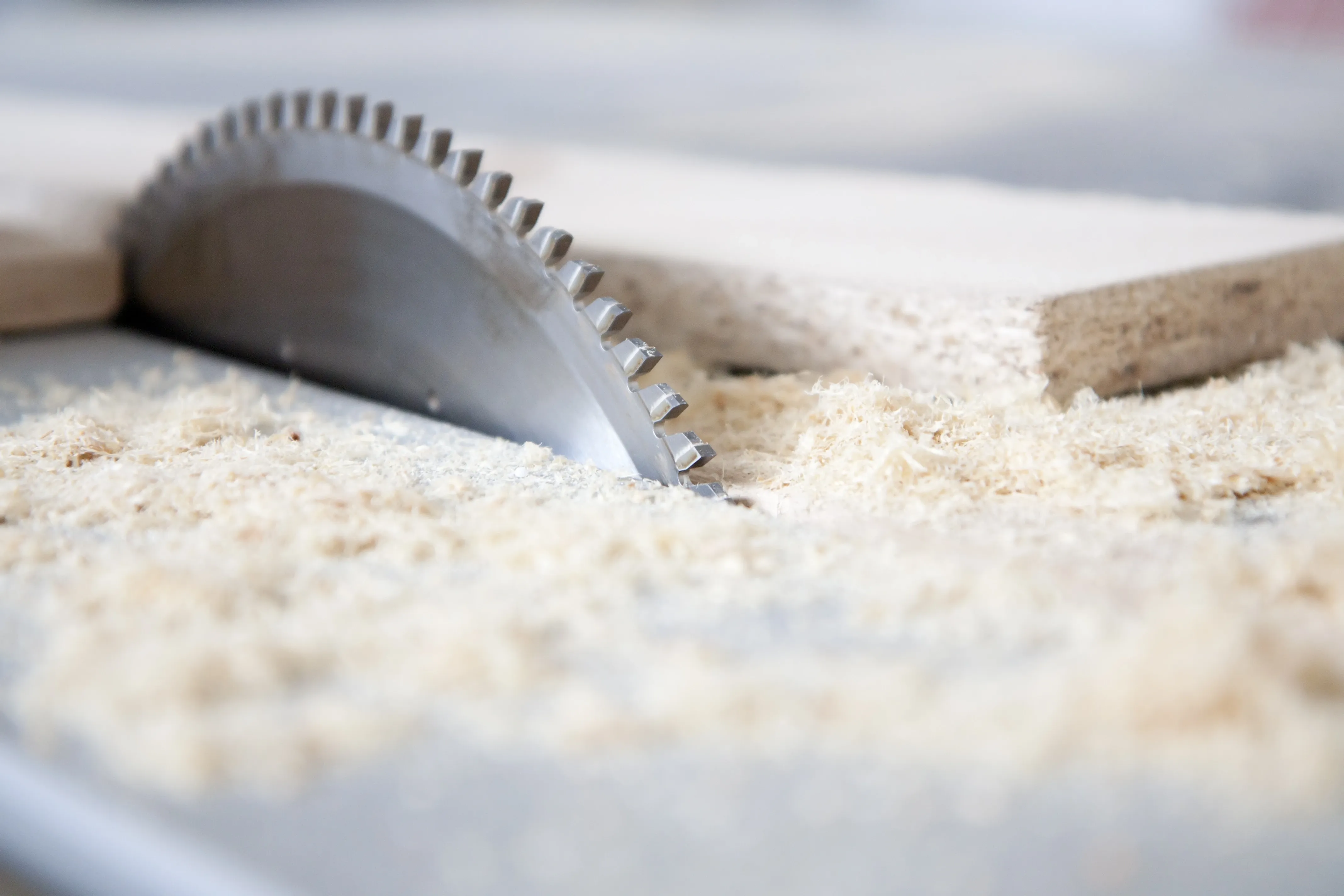 A circular saw blade emerging through a bed of wood shavings.